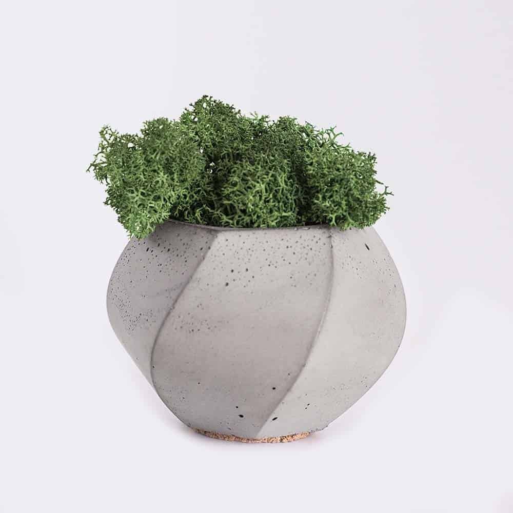 HOME2 Plant4 Free Img