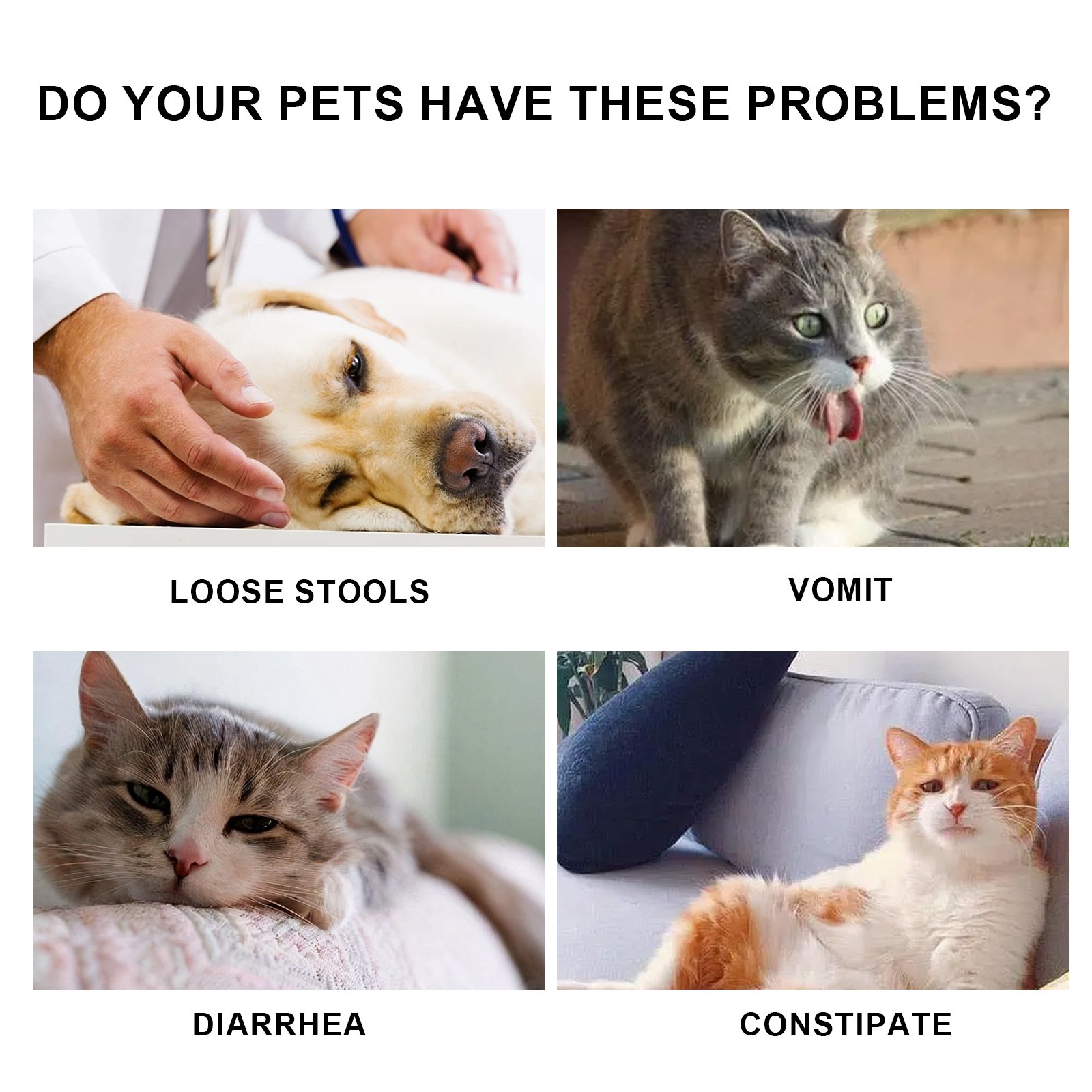 590963986 1927b077a75c6fddf21bd38727160c91.jpg