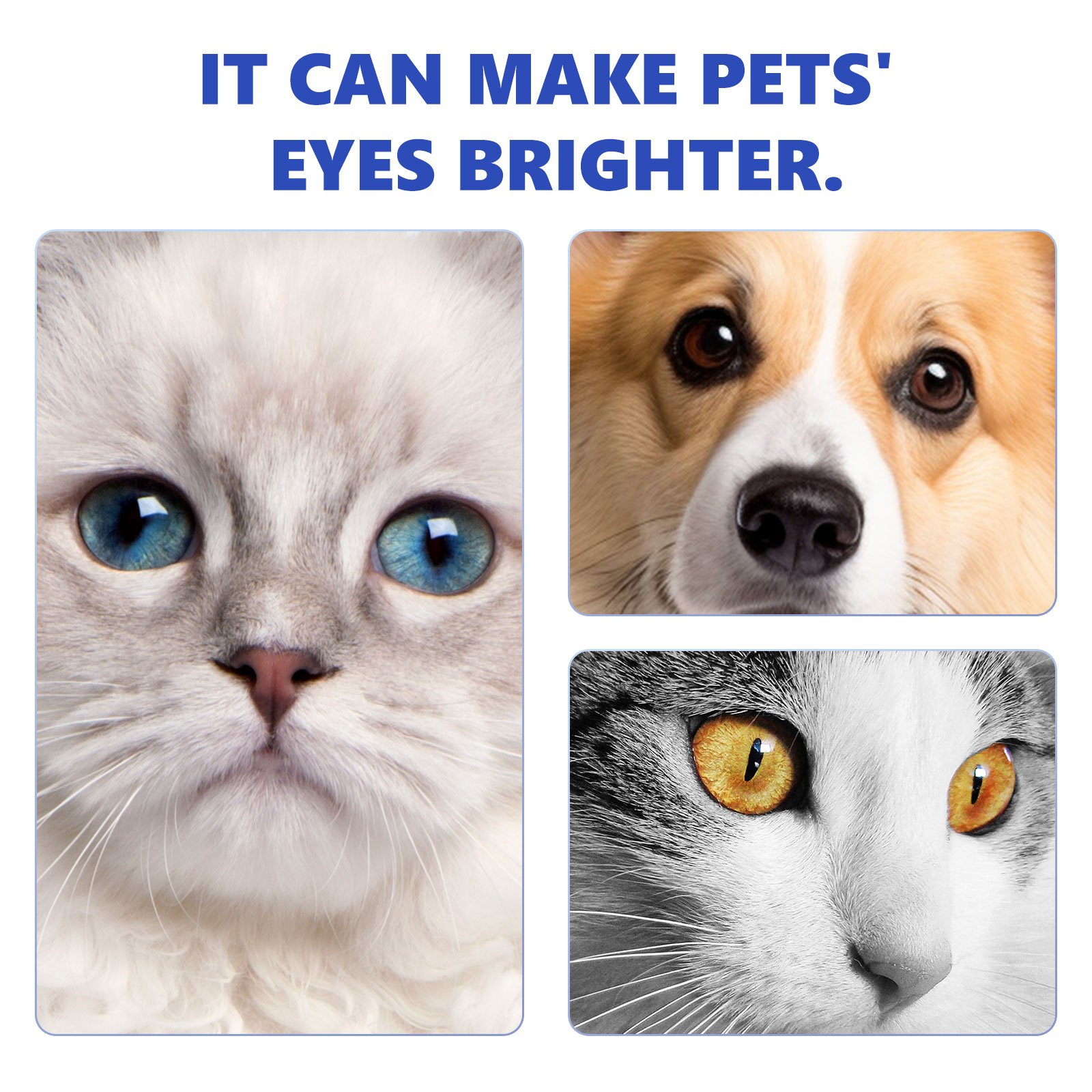 590963288 5c5807bad76cb305d79415ace062227e 1.jpg